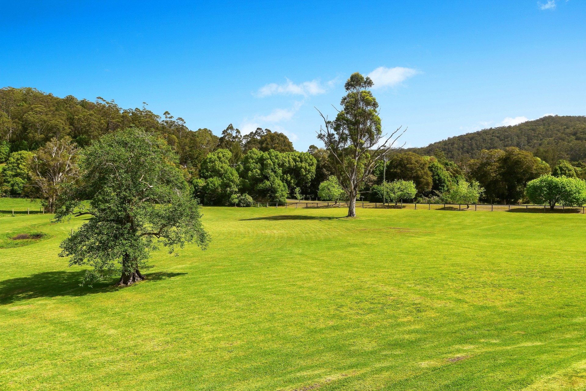 Real Estate in Yarramalong