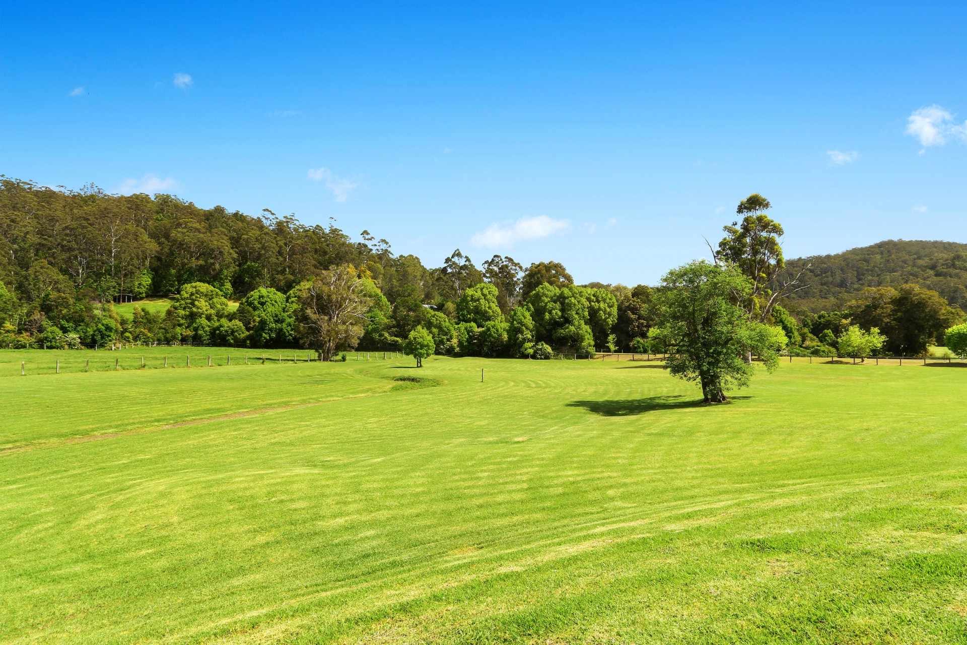 Real Estate in Yarramalong