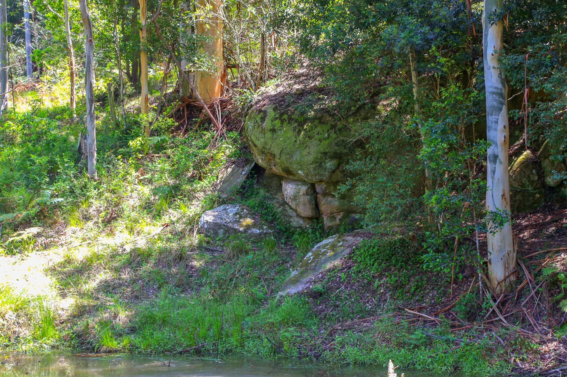 Real Estate in Wyong Creek