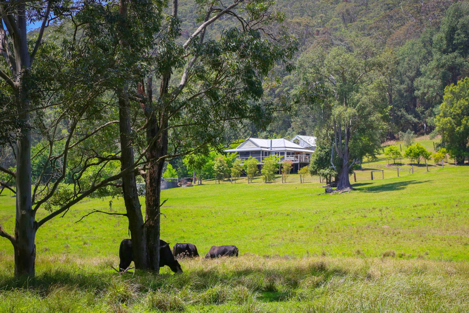 Wyong Creek real estate Sold