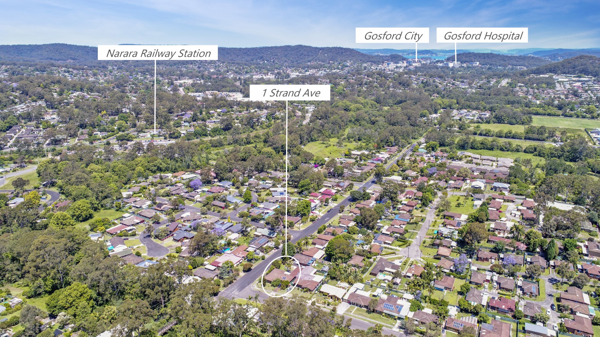 Real Estate in Narara