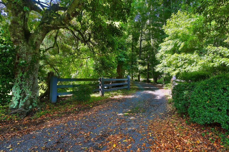 Real Estate in Cedar Brush Creek