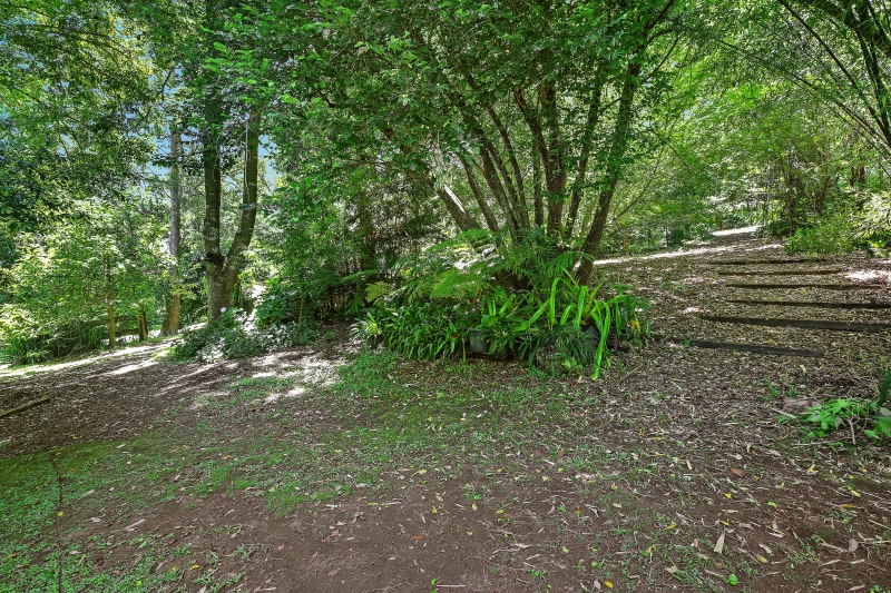 Real Estate in Cedar Brush Creek