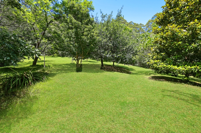 Real Estate in Cedar Brush Creek