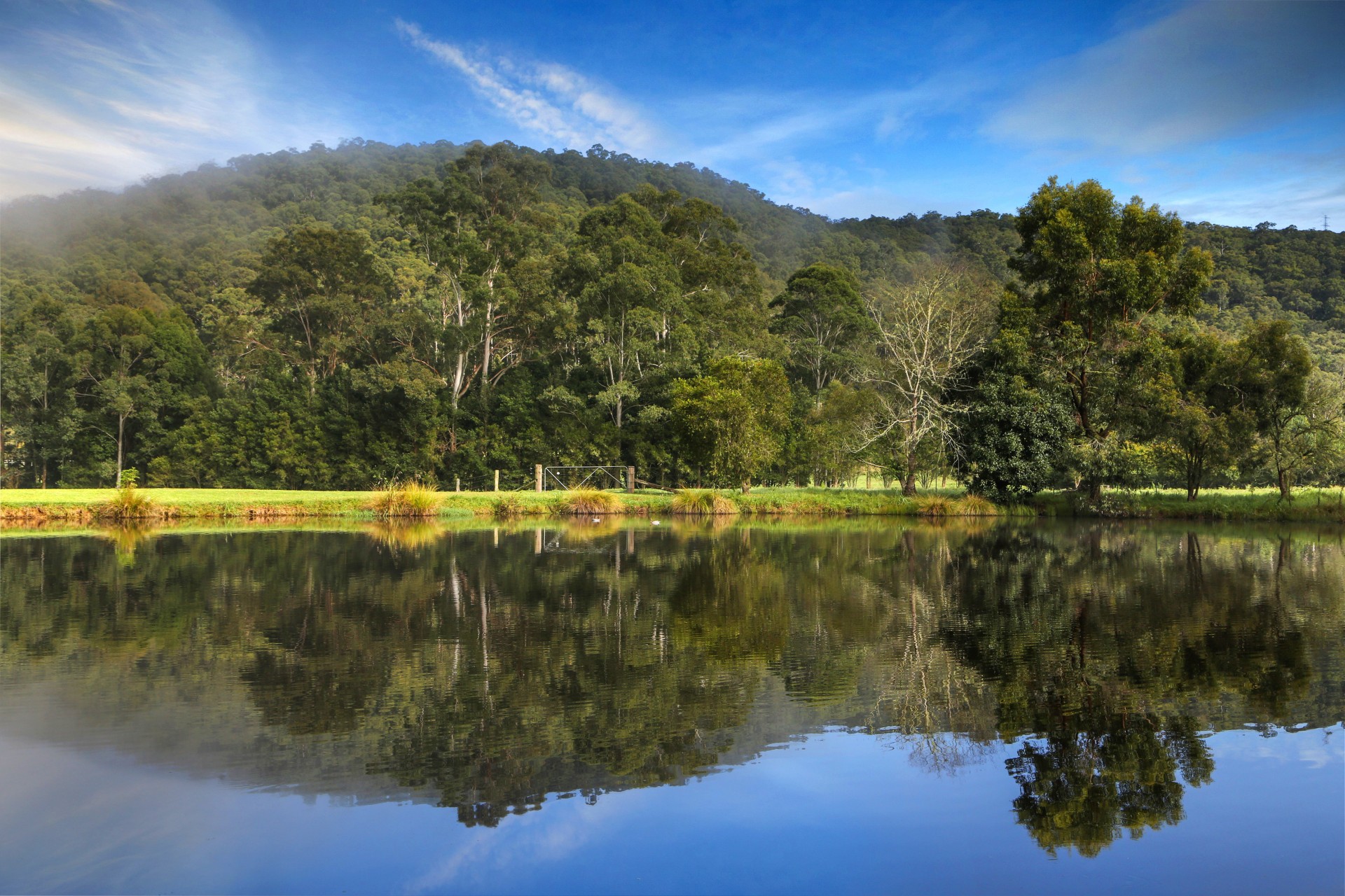 Real Estate in Wyong Creek