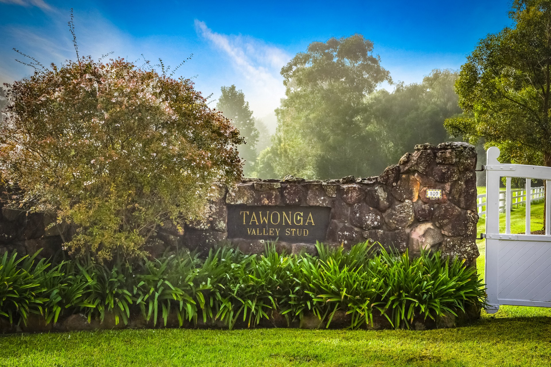 Real Estate in Wyong Creek