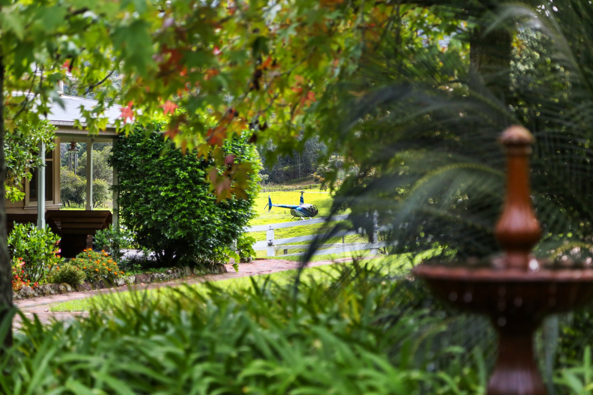 Real Estate in Wyong Creek