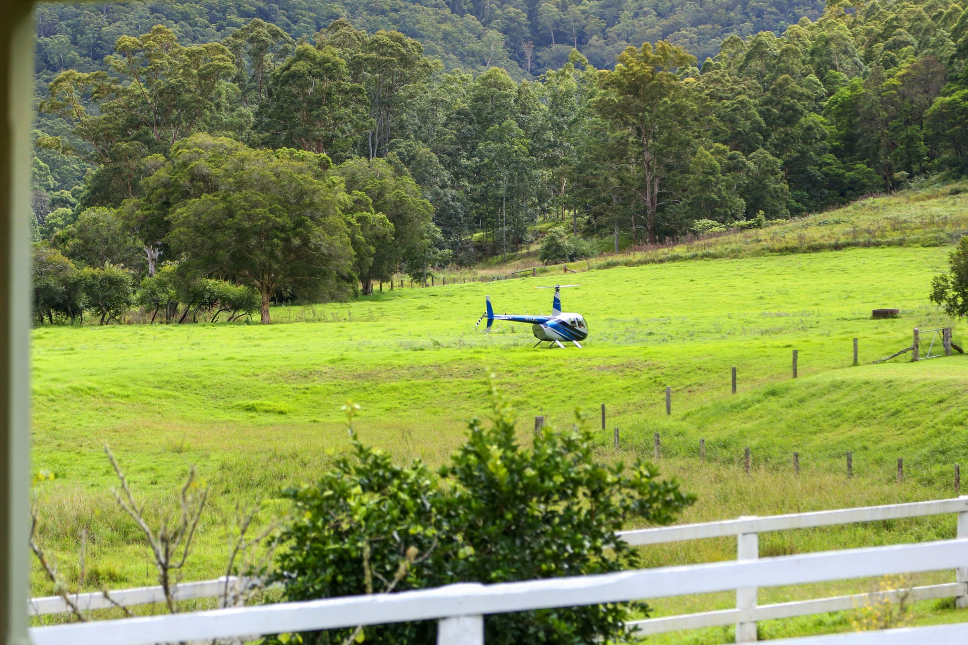 Real Estate in Wyong Creek
