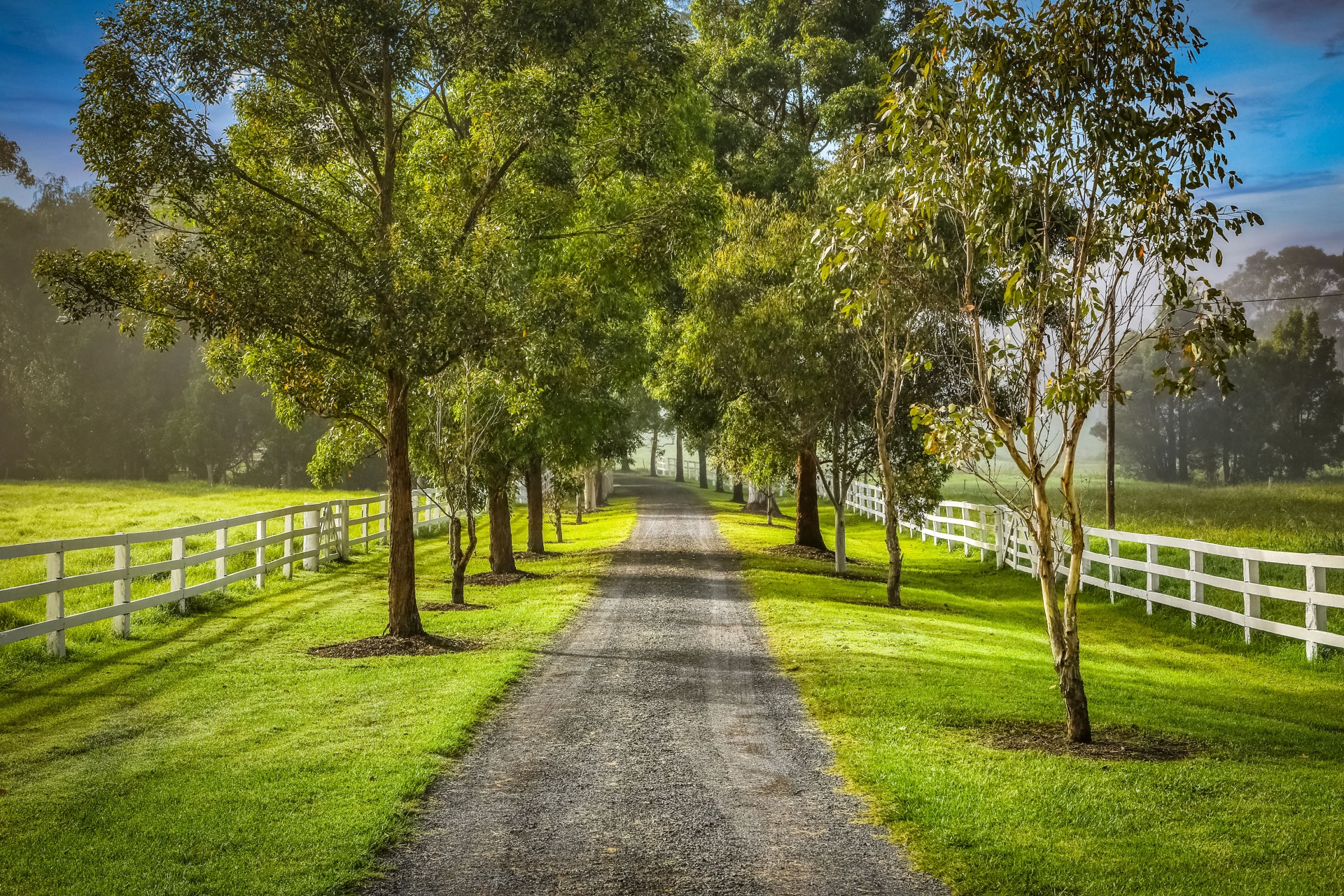 Real Estate in Wyong Creek