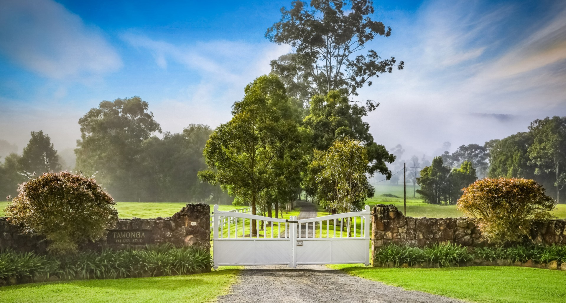 Property Sold in Wyong Creek
