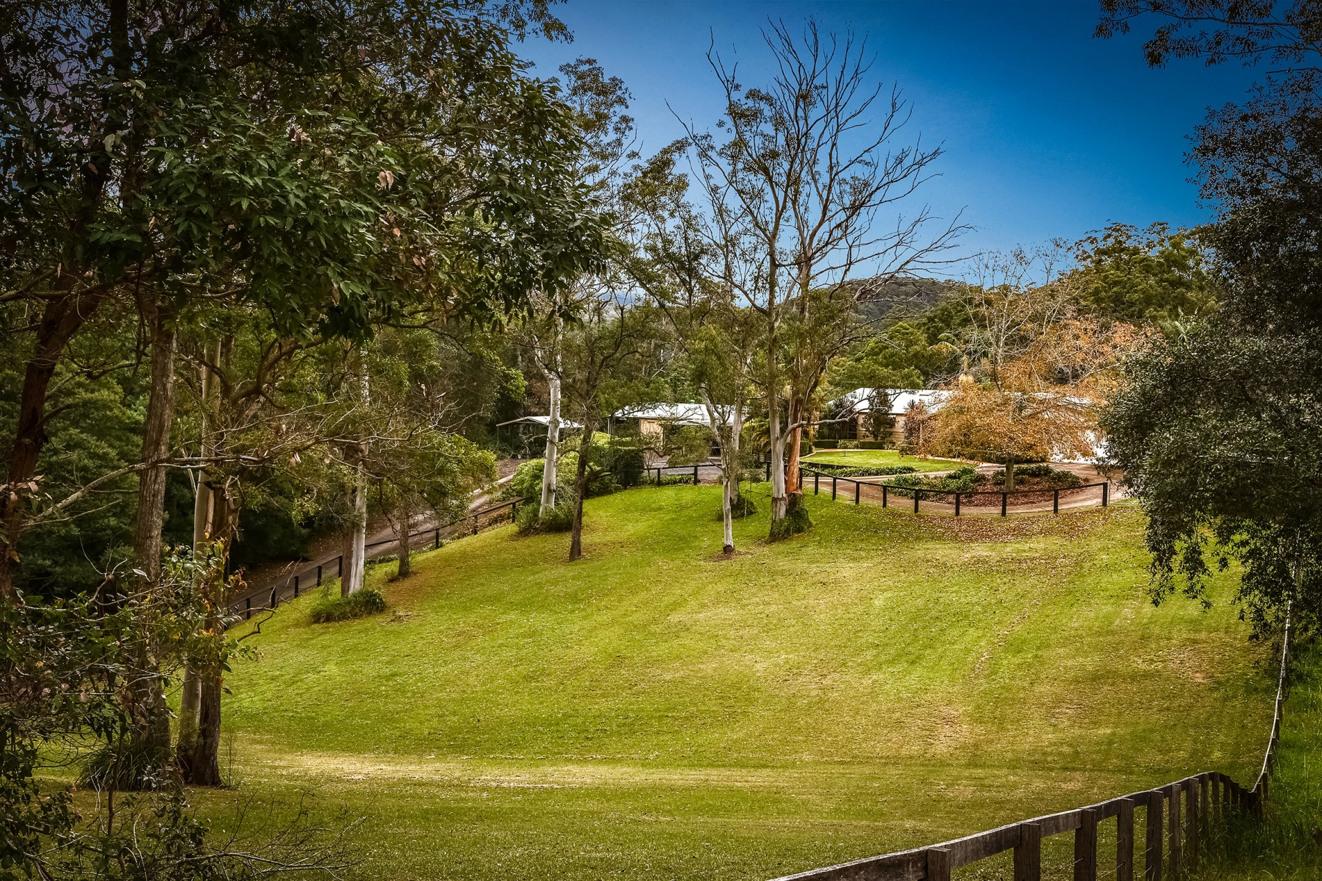 Real Estate in Lisarow