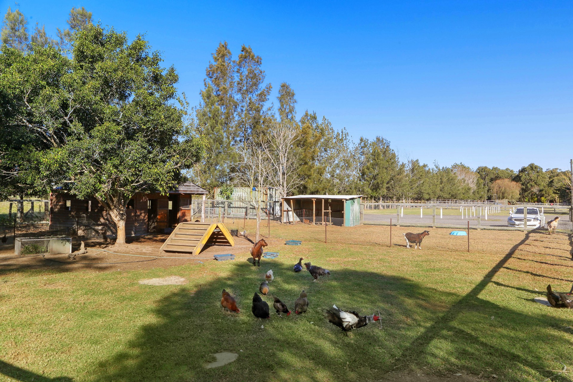 Real Estate in Wyong Creek
