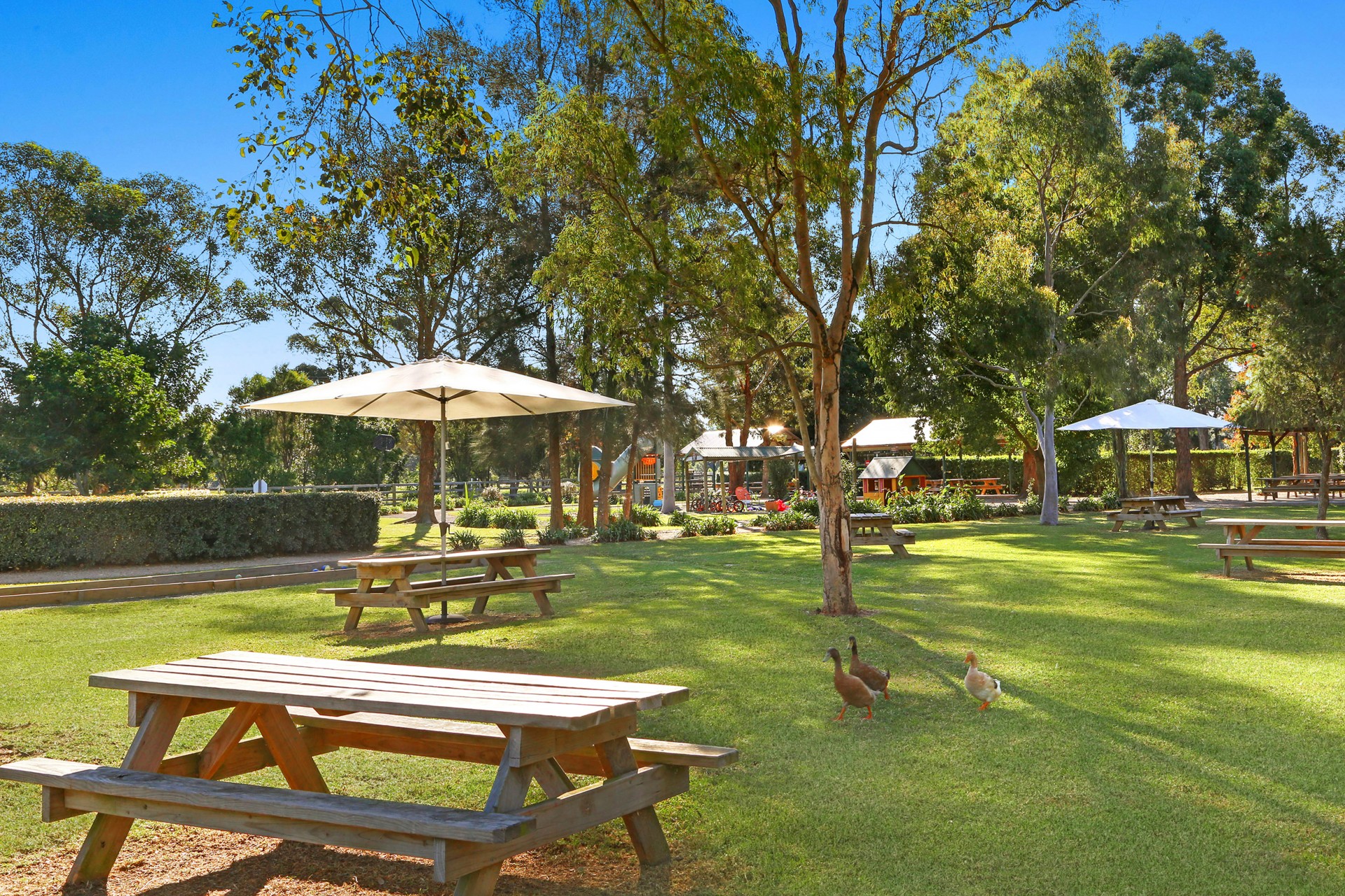 Wyong Creek real estate Sold