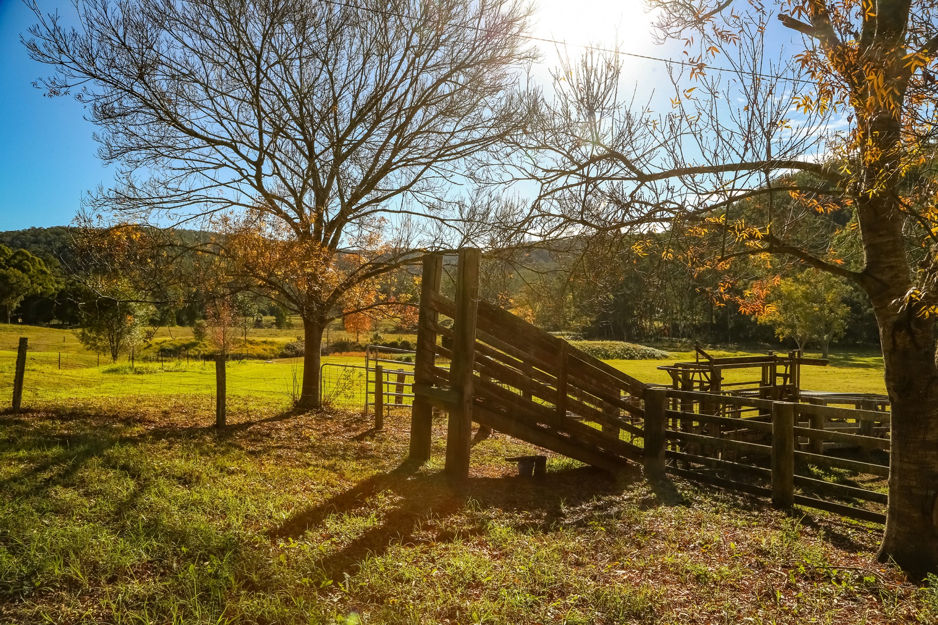 Real Estate in Yarramalong