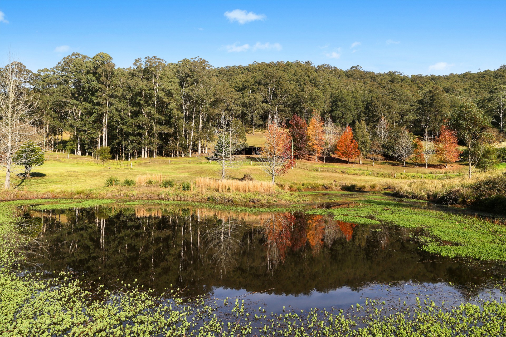 Real Estate in Yarramalong