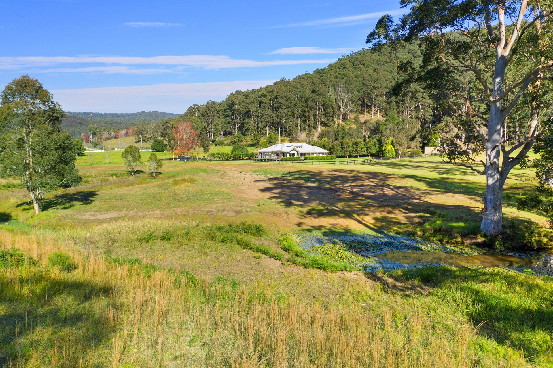 Real Estate in Yarramalong