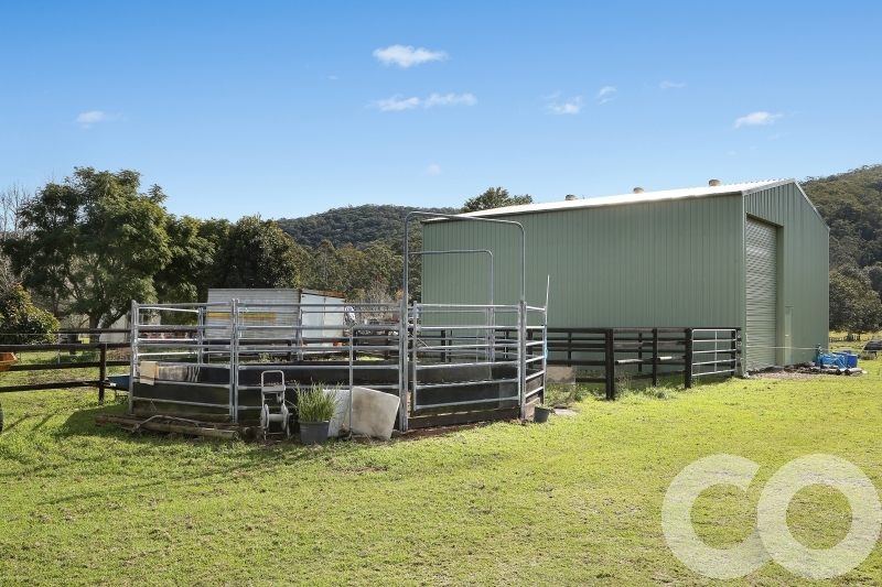 Real Estate in Wyong Creek