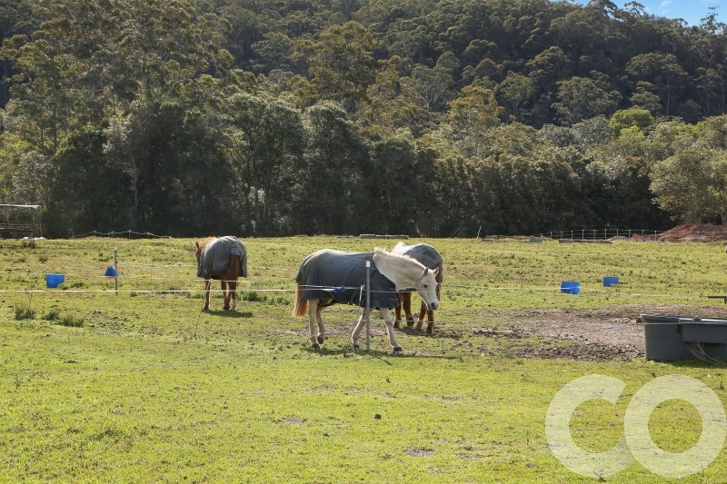 Selling your property in Wyong Creek