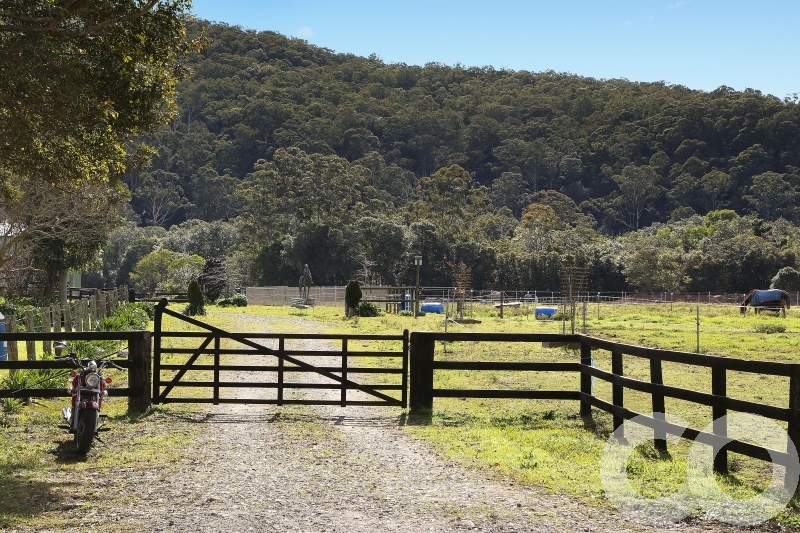 Real Estate in Wyong Creek