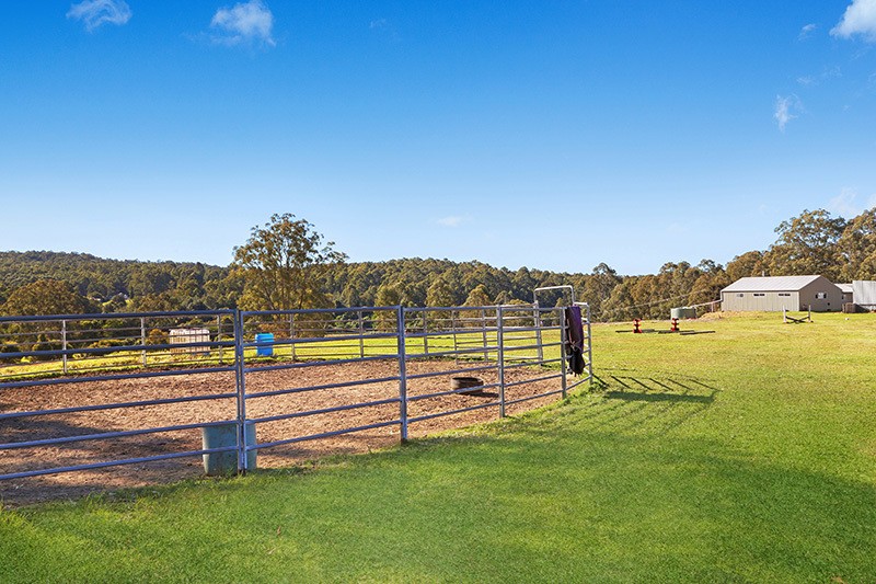 Jilliby Properties Sold