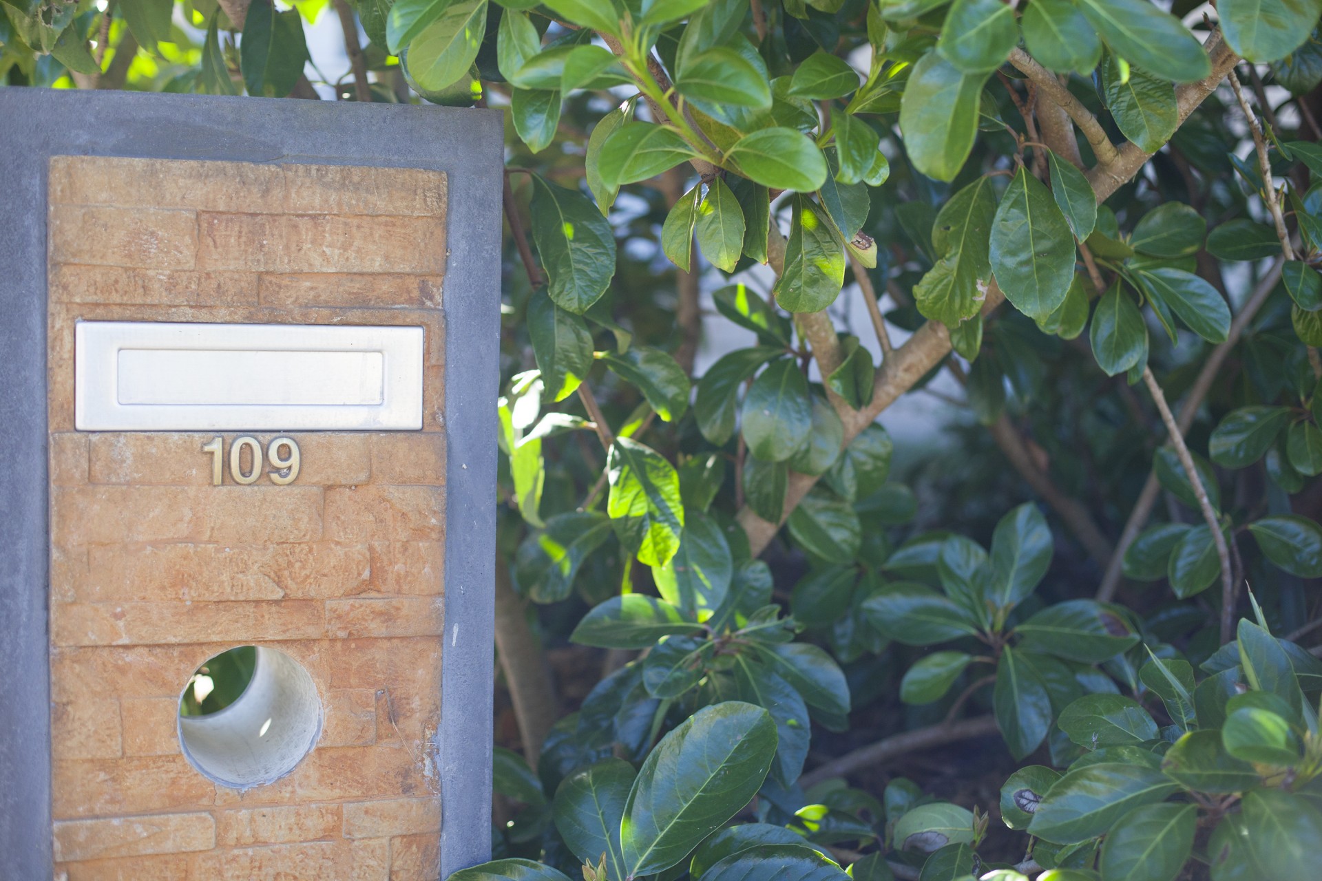 Real Estate in Wadalba