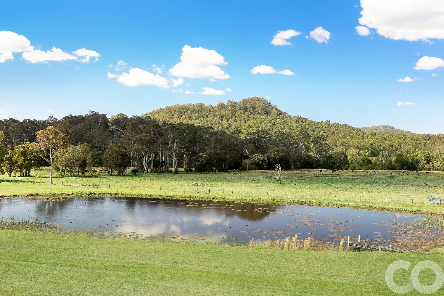 Real Estate in Dooralong