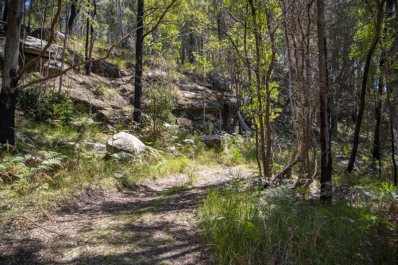 Yarramalong Properties Sold