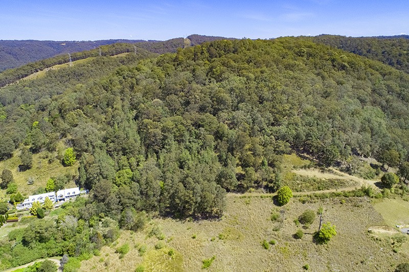 Real Estate in Yarramalong