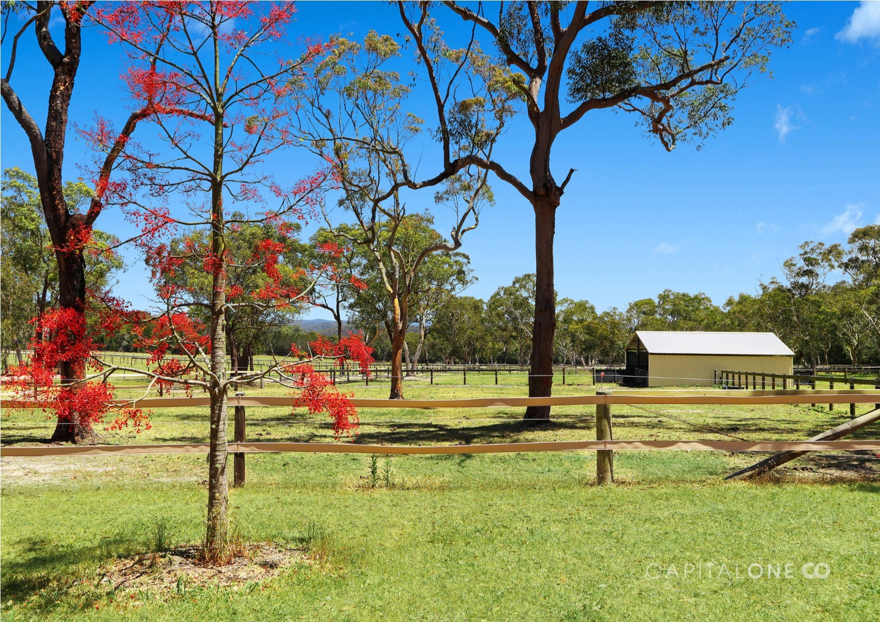 Real Estate in Mangrove Mountain