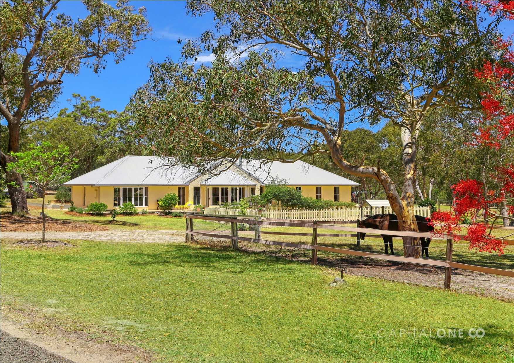 Property Sold in Mangrove Mountain