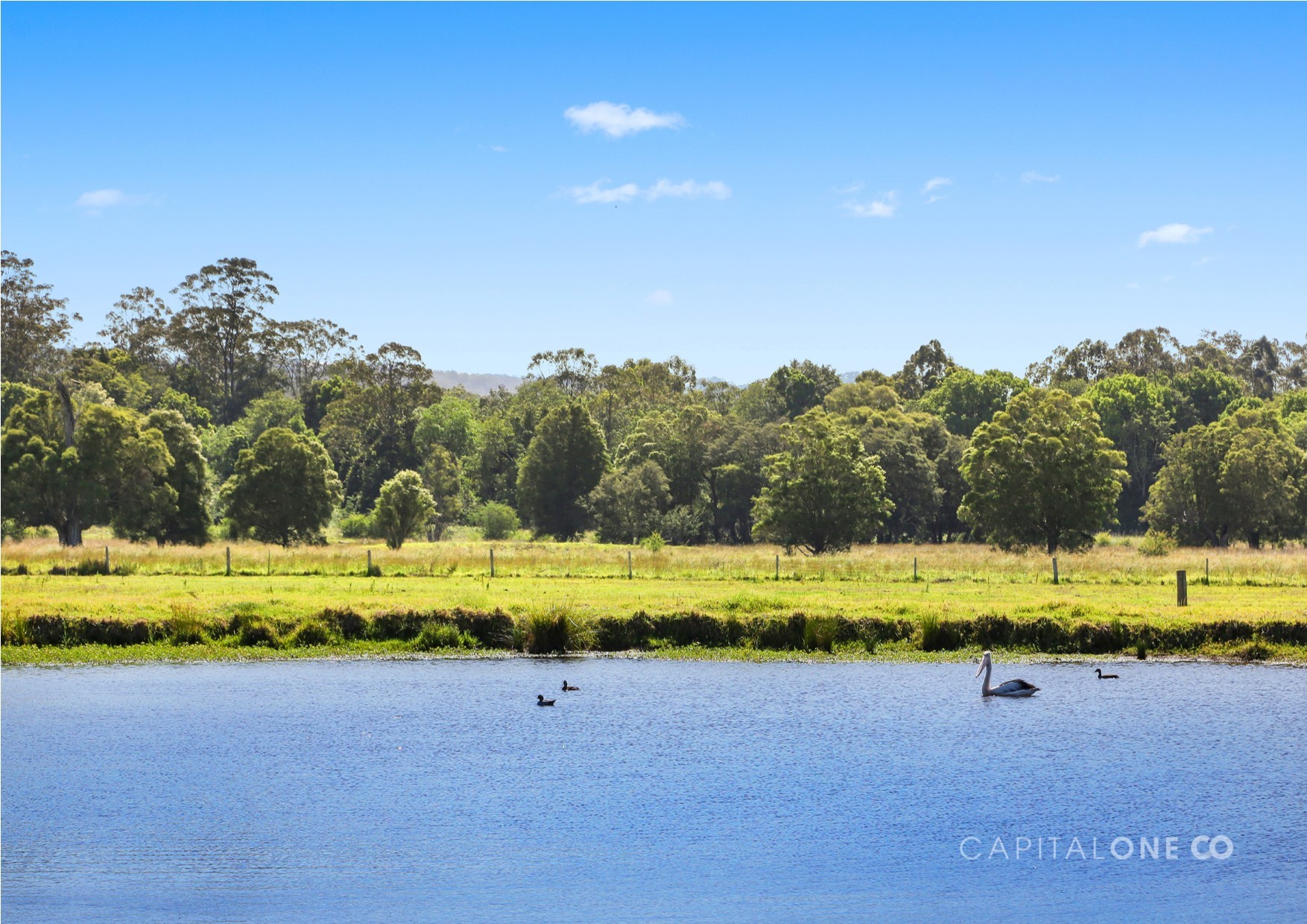 Real Estate in Dooralong