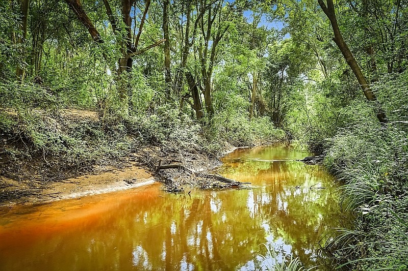 Real Estate in Yarramalong