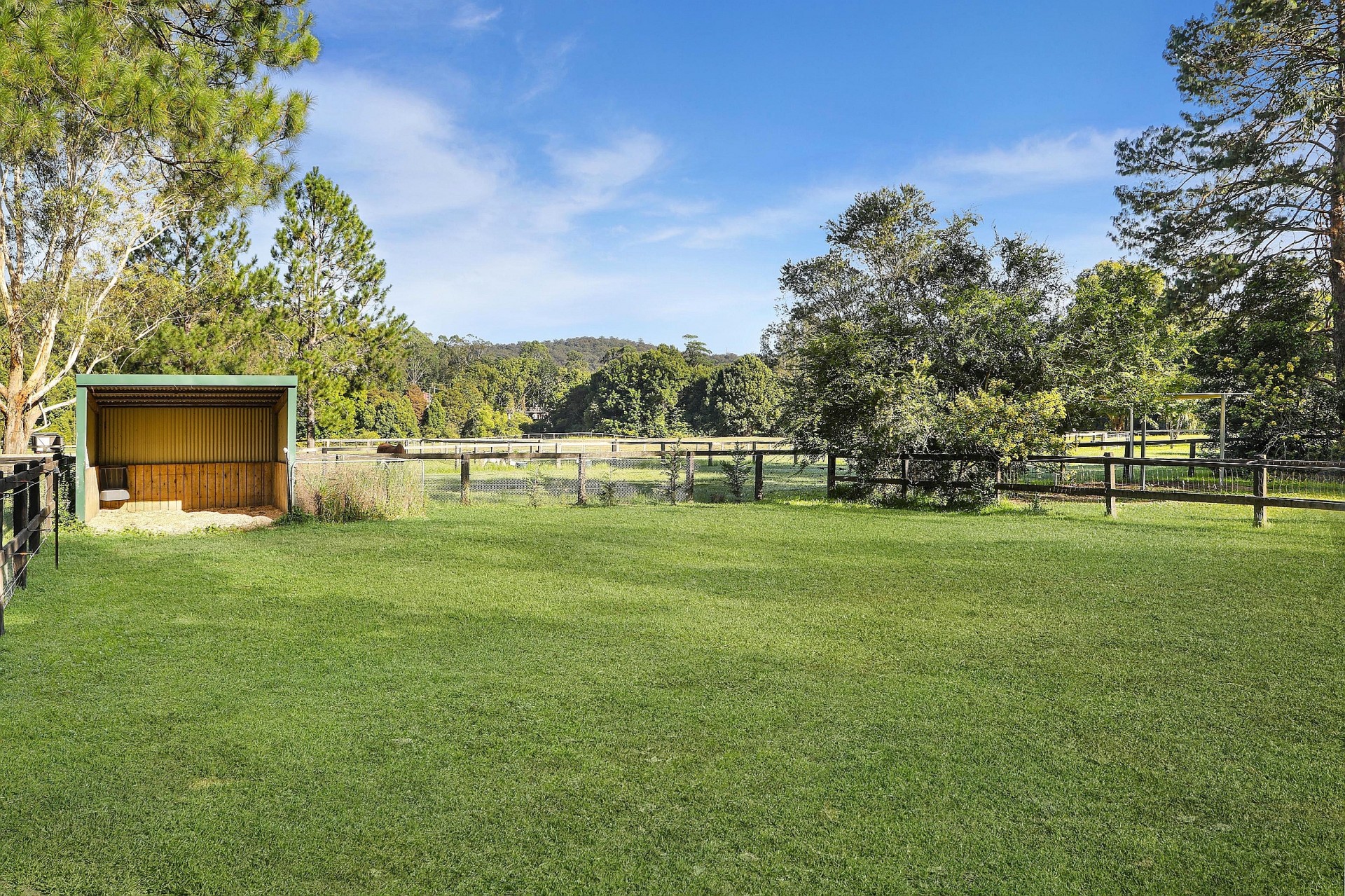 Real Estate in Yarramalong
