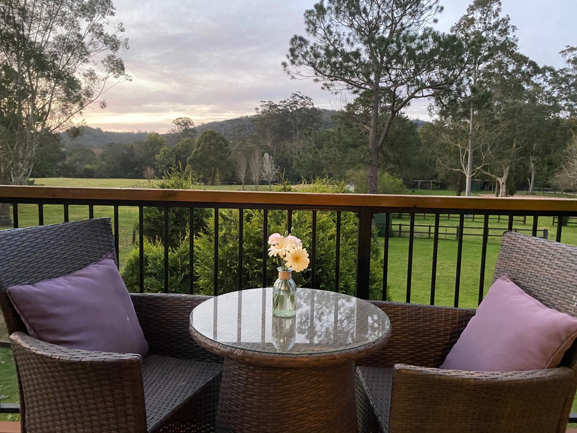 Real Estate in Yarramalong