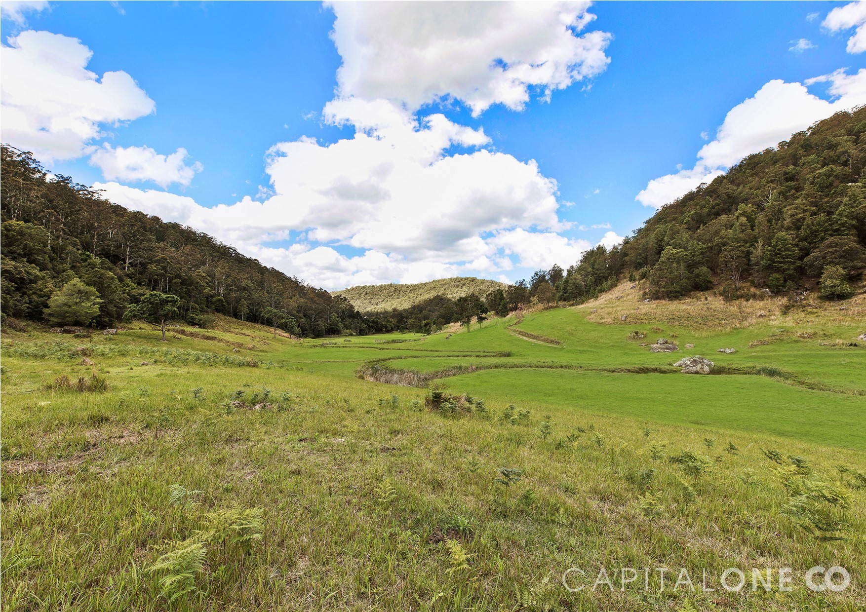 Cedar Brush Creek real estate Sold