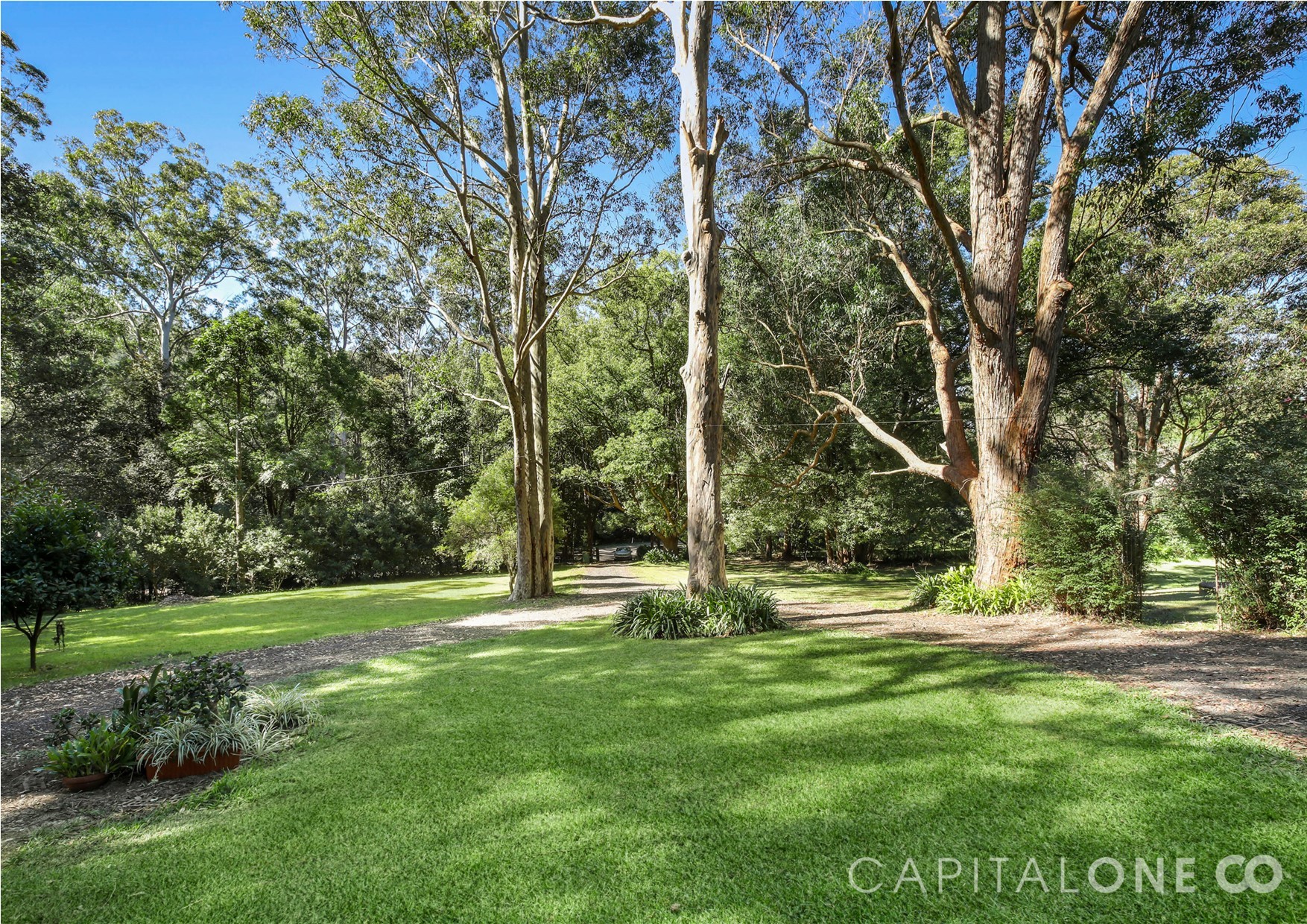Selling your property in Wyong Creek