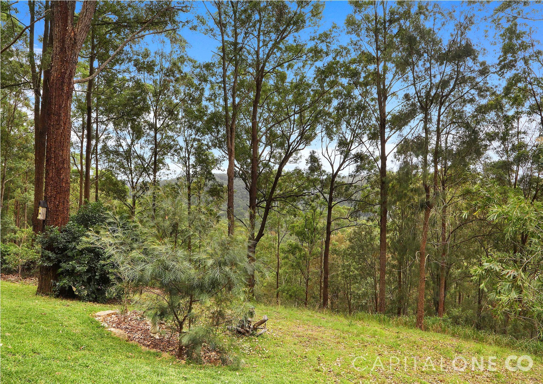 Real Estate in Yarramalong