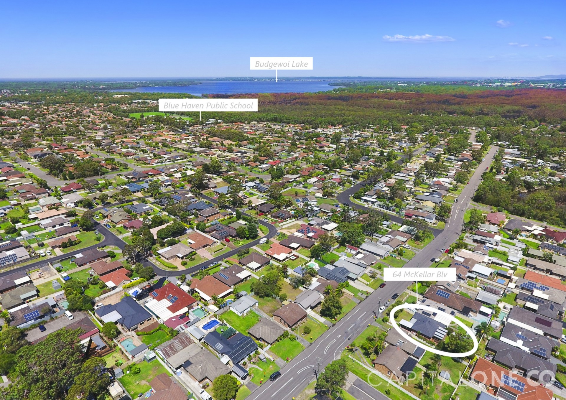 Real Estate in Blue Haven