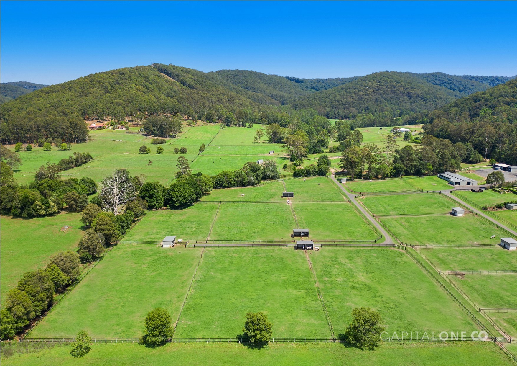 Real Estate in Jilliby