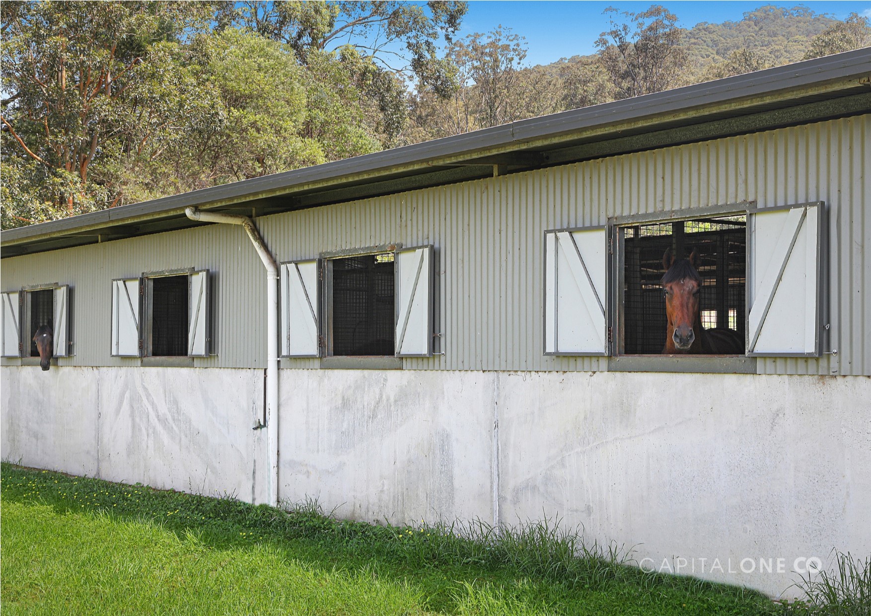 Real Estate in Jilliby