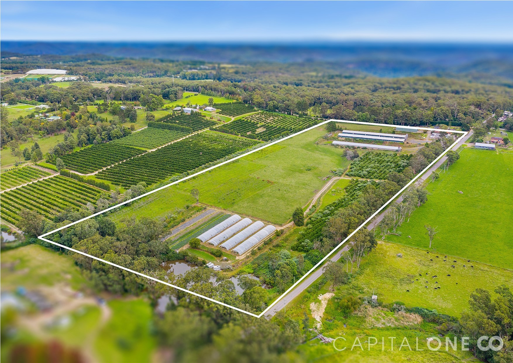 Property For Sale in Mangrove Mountain