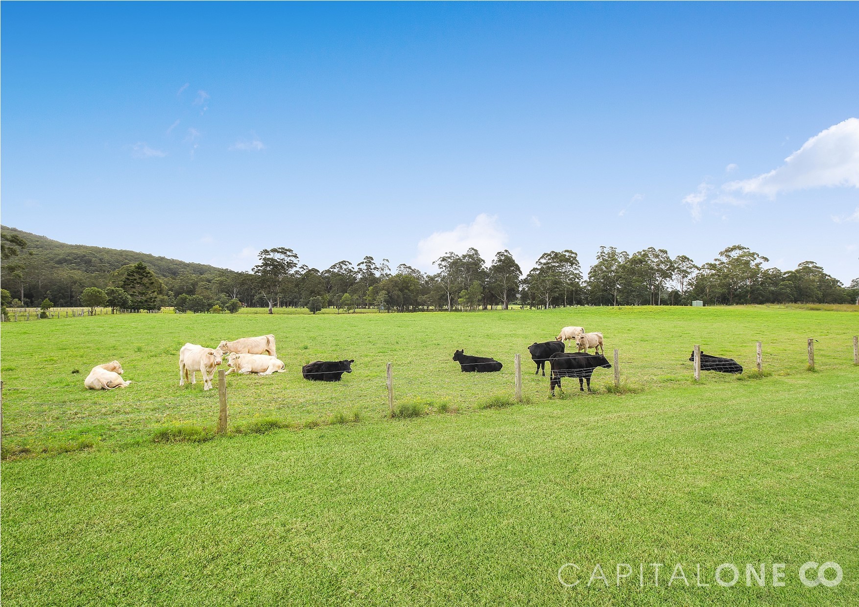 Real Estate in Wyong Creek