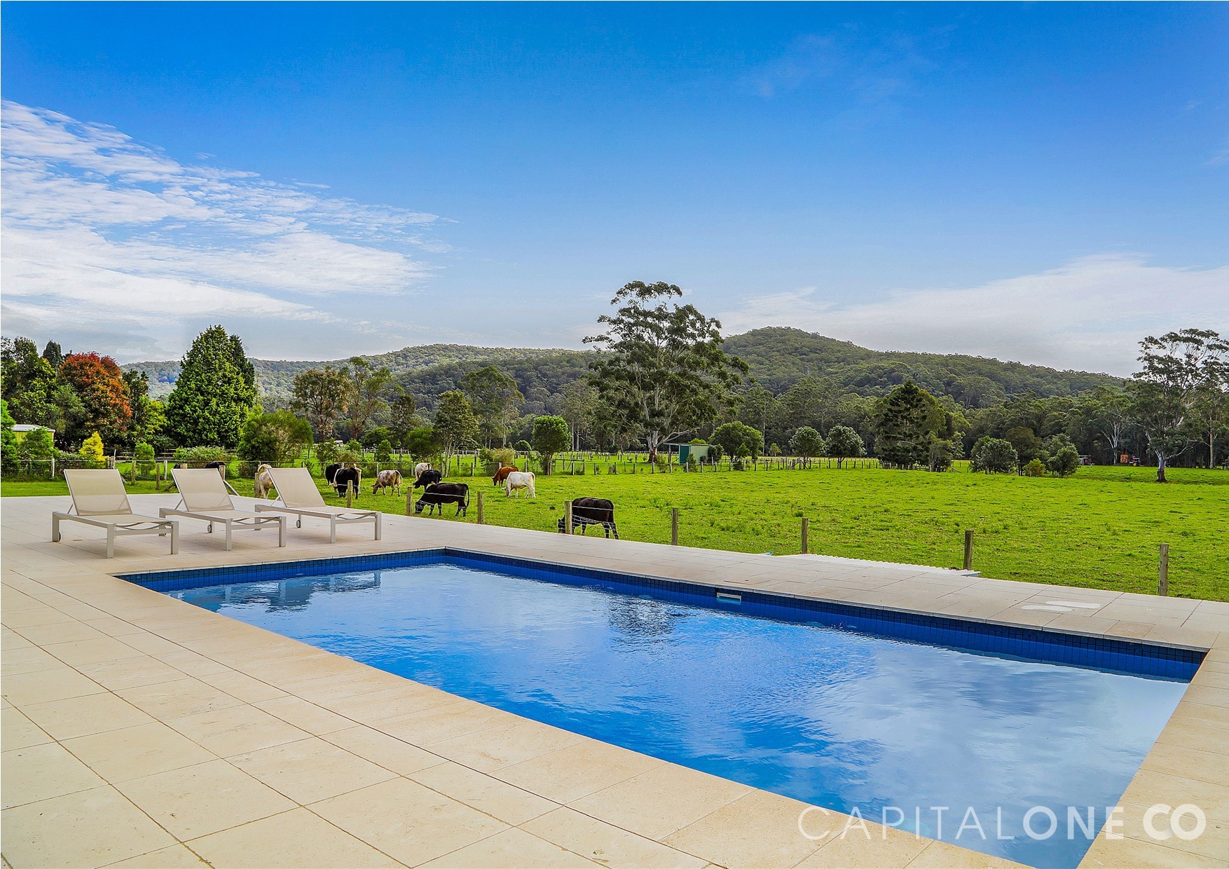 Real Estate in Wyong Creek