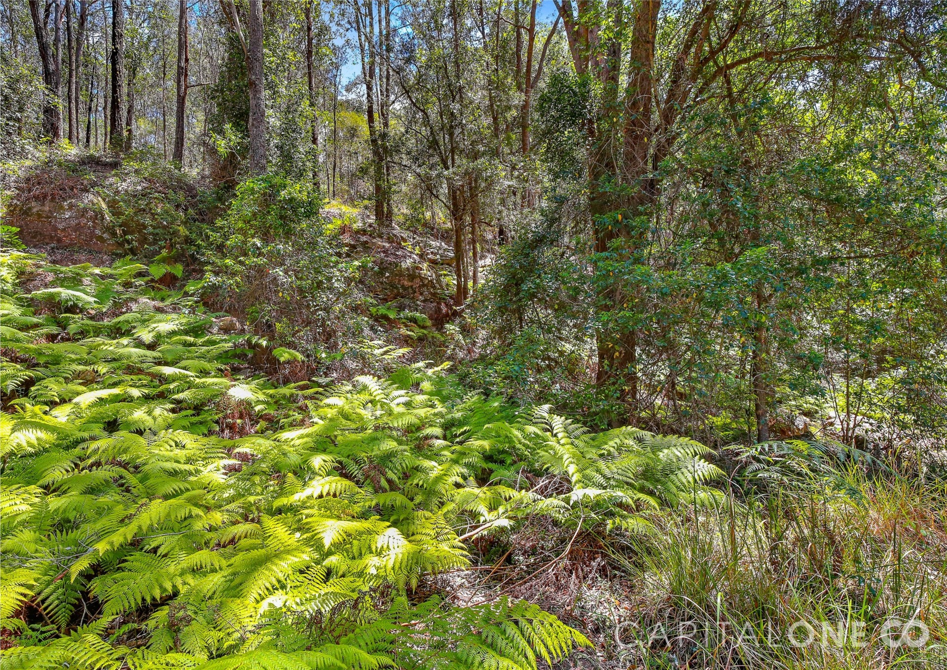 Open for inspection in Yarramalong