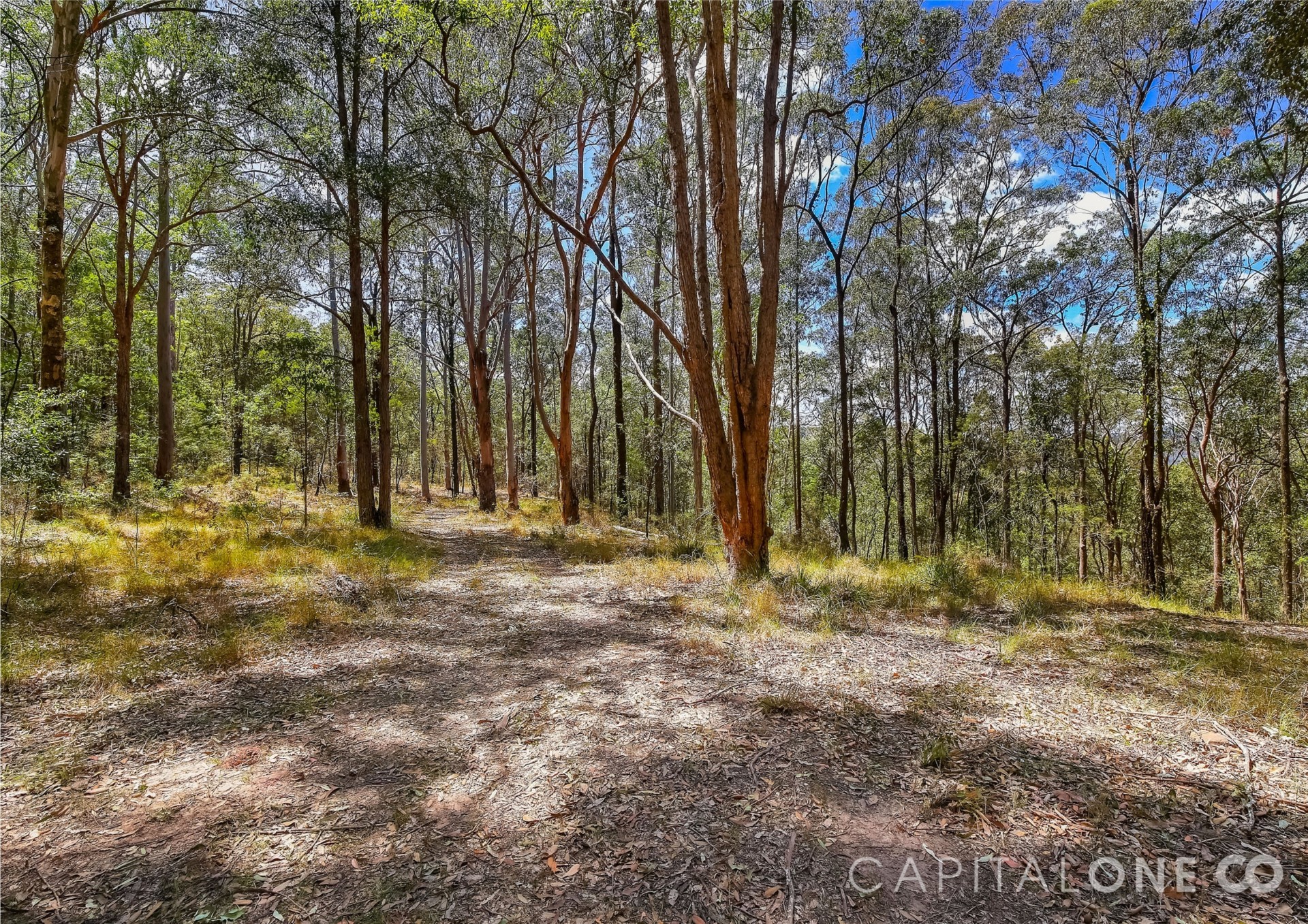 Selling your property in Yarramalong