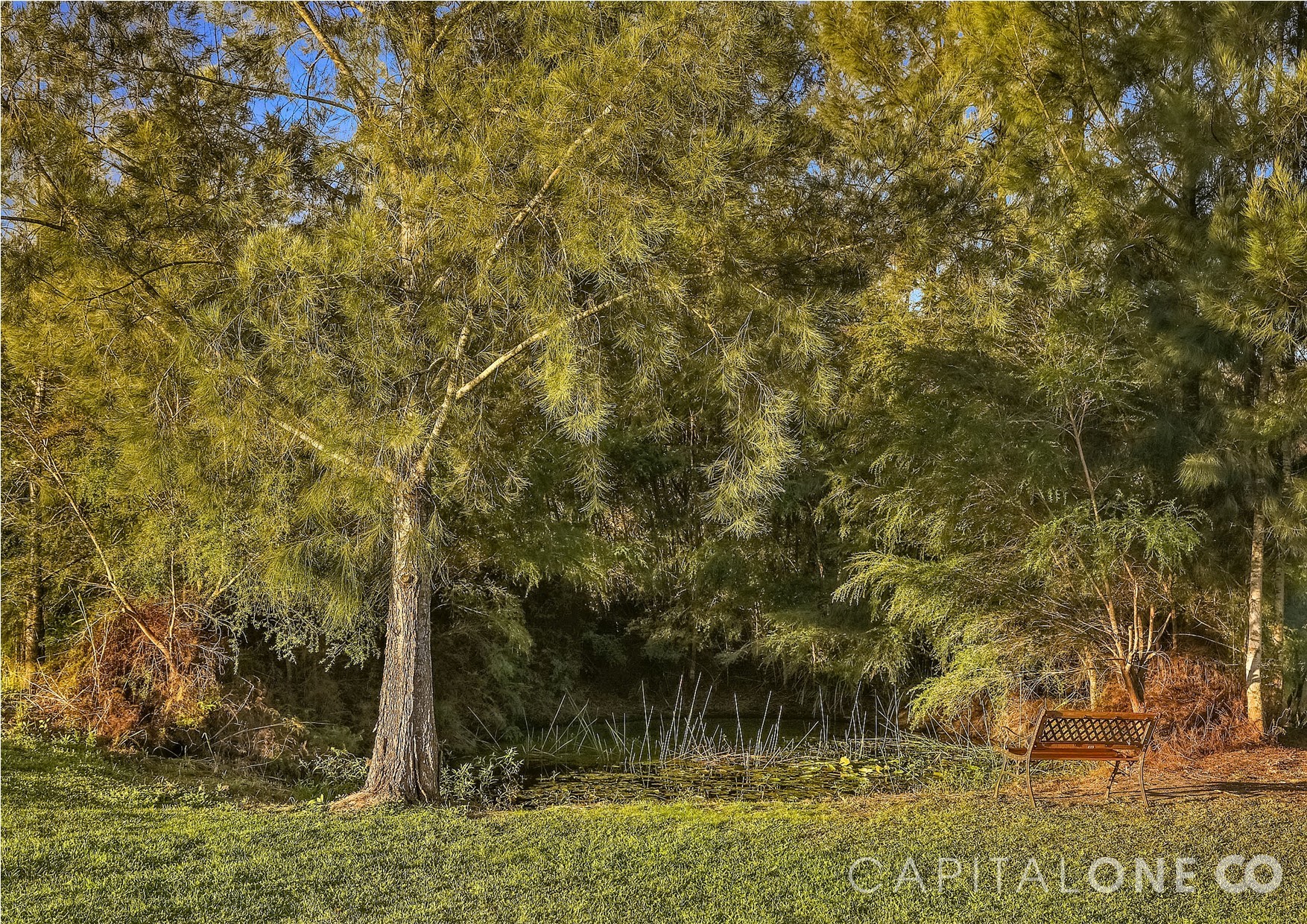 Real Estate in Somersby