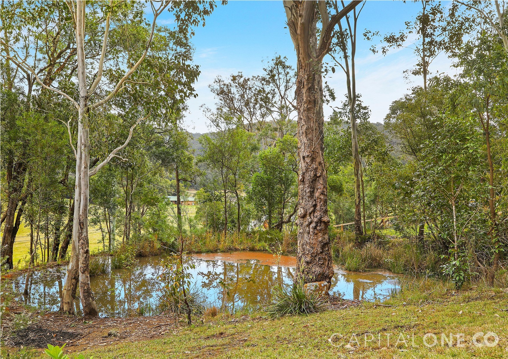 Real Estate in Yarramalong