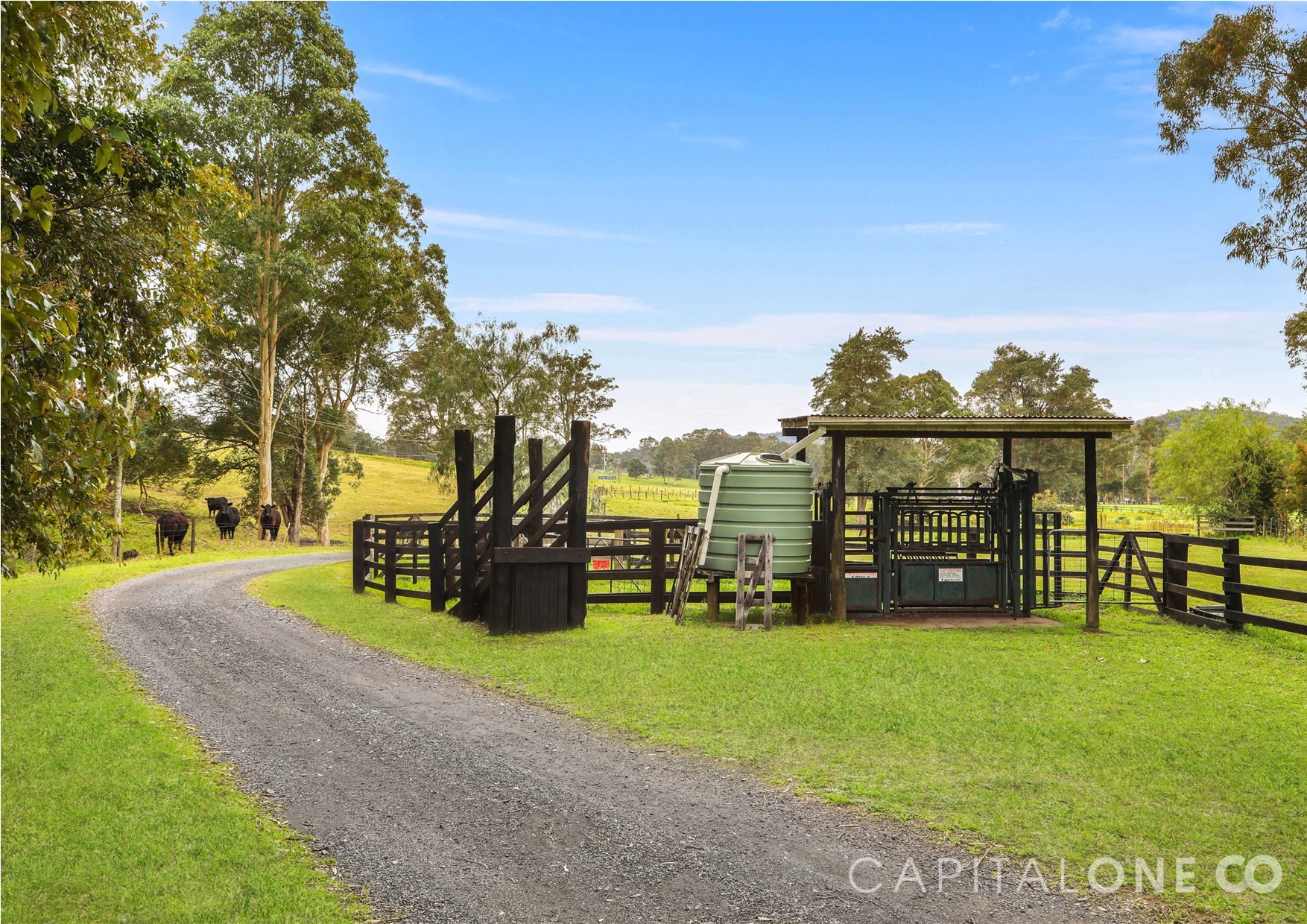 Real Estate in Jilliby