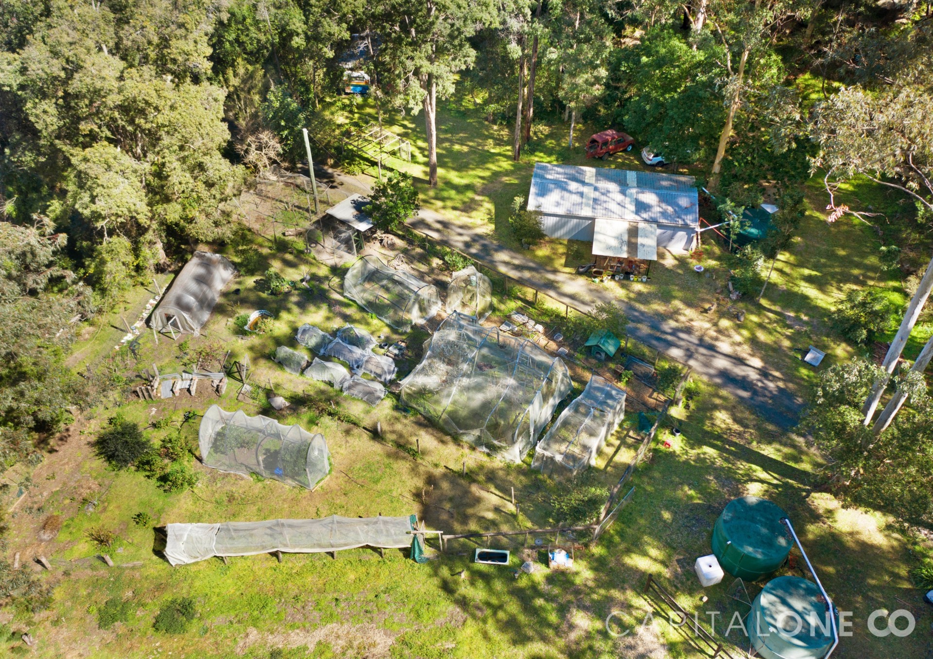 Real Estate in Mogo Creek