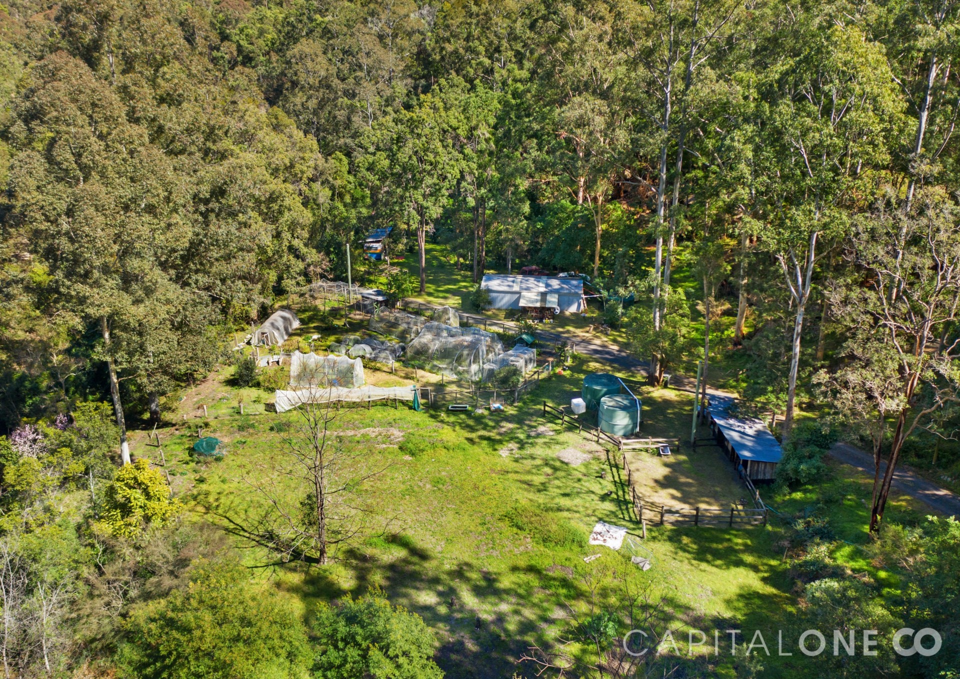 Real Estate in Mogo Creek
